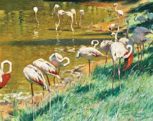 KUHNERT Wilhelm 1865-1926,Flamingos,Palais Dorotheum AT 2024-04-25