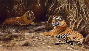 KUHNERT Wilhelm 1865-1926,In the Jungle – Tigers,Scottsdale Art Auction US 2024-04-12