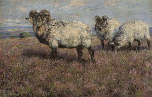 KUHNERT Wilhelm 1865-1926,Sheep in pasture,Christie's GB 2008-03-19