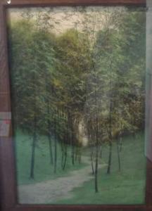 KUILLER Vital,Chemin en sous-bois,1911,Piasa FR 2009-03-26