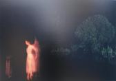 KYRIAKU HENRI,Ballet dancer at night, trees in background,Moore Allen & Innocent GB 2011-04-28