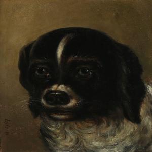 LüTZEN N. A 1828-1890,A black and white dog,Bruun Rasmussen DK 2015-11-30