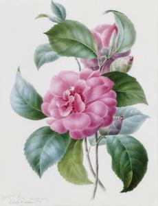 L'ALLEMAND Adèle HIPPOLYTE 1807,Rose Branch,1848,Neumeister DE 2019-12-04