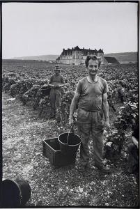 Laboye Roland 1944,Saisonniers dans les vignes, Château du Clos de Vo,1980,Yann Le Mouel 2023-10-14