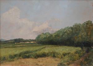 LAEZZA Giuseppe 1835-1905,Campagna d'estate,Meeting Art IT 2025-04-02