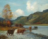 Lainge Jameson,Highland cattle in a stream,Rosebery's GB 2018-02-10