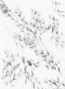 Landauer Lou 1897-1991,Photogram of oat grass,1942,Galerie Bassenge DE 2023-12-06