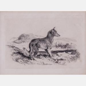 LANDSEER Edward 1803-1878,Study of a Collie,1825,Gray's Auctioneers US 2018-06-06