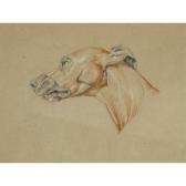 Landseer Edwin Henry 1802-1873,ECORCHÉ DRAWING OF THE HEAD OF A WHIPPET,Sotheby's GB 2010-07-06