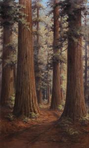LANE Martella Cone 1875-1962,Redwoods,Hindman US 2018-11-09