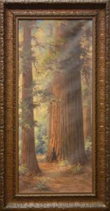 LANE Martella Cone 1875-1962,Redwoods,Clars Auction Gallery US 2010-11-06