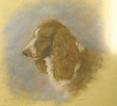 LANGARD P,Portrait of a dog,1890,Andrew Smith and Son GB 2006-02-22