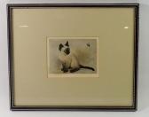 LANGBROEK Maarten 1918-1985,Siamese kitten and bee,Smiths of Newent Auctioneers GB 2024-04-04
