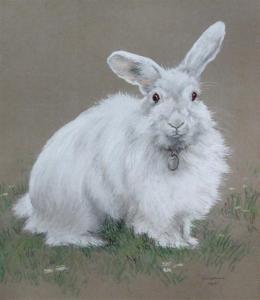 LANGDON E.M,Study of a White Rabbit,Cheffins GB 2010-09-22