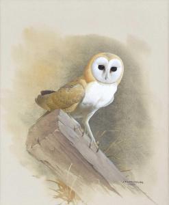 LANSDOWNE James Fenwick 1937-2008,Barn Owl,1961,Peter Wilson GB 2024-04-11