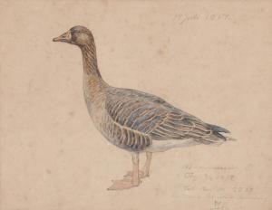 LARSEN Johannes 1867-1961,A goose,1917,Bruun Rasmussen DK 2024-03-04