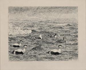 LARSEN Johannes 1867-1961,Ducks and a seagull on the water,1926,Bruun Rasmussen DK 2024-04-08