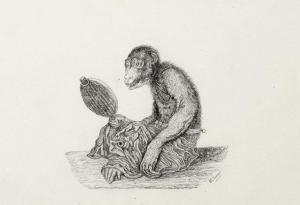 LASSIEUR Henri,Le singe au miroir,Ader FR 2010-05-05