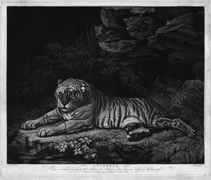 LAURIE Robert 1755-1836,Liegende Tigerin (A Tigress),1780ca,Galerie Bassenge DE 2018-05-30