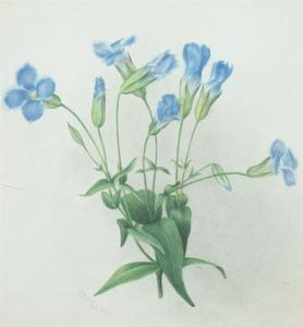 LAVINIA TANNER JULIET 1833-1909,LIGHT BLUE FLOWERS,1873,Sloans & Kenyon US 2013-02-16