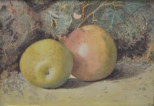 LAWLEY A.M 1800-1800,Apples on a bank,Fieldings Auctioneers Limited GB 2013-07-27
