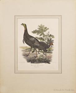 LAWSON Alexander 1886-1920,Wild Turkey,Pook & Pook US 2013-04-19