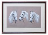 LAWTON Marigold,Desert Orchid - a study,Anderson & Garland GB 2020-12-07