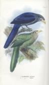 LAYARD EDGAR LEOPOLD 1824-1900,The Birds of South Africa...,Bonhams GB 2014-12-03