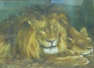 LAYE Dora,Lion and Lioness,1911,David Duggleby Limited GB 2016-01-23