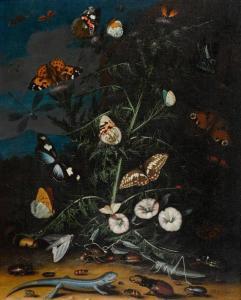 LE BLAN J.R,Still life with a thistle and various smaller anim,1717,Galerie Koller 2012-09-18