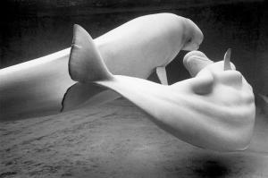 LE DIASCORN François 1947,Les Baleines blanches Coney Island, New-York, USA,,1984,EVE FR 2023-03-07