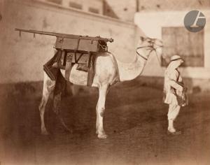 LE GRAY Gustave 1820-1882,Le Caire. Égypte, février-mars 1866. Dromadaire ch,Ader FR 2023-11-09