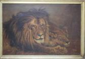 LEACH J 1900-1900,study of a resting lion,20th century,Cuttlestones GB 2017-11-23