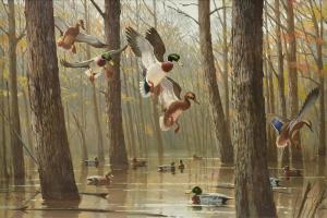 LEBLANC Lee 1913-1988,Mallard Ducks in the Swamp,Simpson Galleries US 2022-02-12