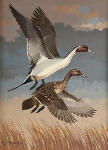 LEBLANC Lee 1913-1988,Northern Pintail (Anas Acuta) Ducks in Flight,Simpson Galleries US 2022-02-12