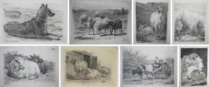 LEBRET Frans 1820-1909,Verschillende voorstellingen van het pastorale lev,Venduehuis NL 2021-07-04