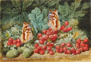 LECLAIRE Victor 1830-1885,Red Currants and Green Acorns,Sotheby's GB 2017-08-17
