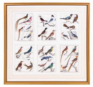 LECLERC GEORGES LOUIS 1707-1800,Birds from Histoire Naturelle, Ornithologie,Hindman US 2021-08-18