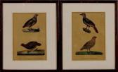 LEJEUNE P.H,bird representations,Twents Veilinghuis NL 2013-04-19