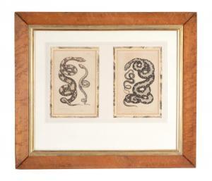 LEJEUNE Thomas 1828-1836,A group of four plates of snakes,c.1830,Dreweatts GB 2015-09-16