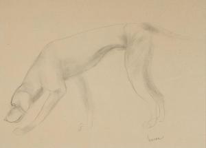 LEMAR Marcel 1892-1941,Etude de chien,Art Richelieu FR 2024-02-15
