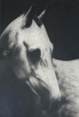 LENNON Paddy 1955,Dapple Grey,De Veres Art Auctions IE 2007-09-25