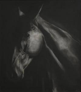 LENNON Paddy 1955,Horse Study,2002,Morgan O'Driscoll IE 2021-03-08