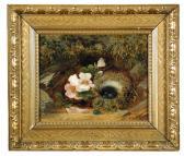 LENNOX E 1800,Still life of dog roses and a Ring Ousel's nest,Cheffins GB 2017-05-25