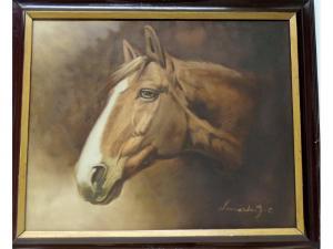 LEONARDO F.C,Study of a horses head,Tamlyn & Son GB 2017-01-18
