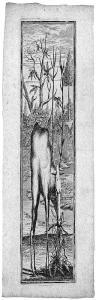 LEOPOLD Joseph Friedrich,Anamorphose mit einem äsenden Hirsch,1700,Galerie Bassenge 2017-05-25