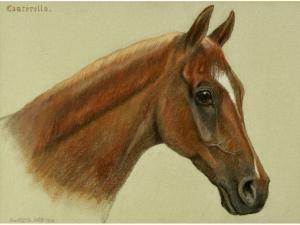 LESSELINE Maddy,PORTRAIT STUDY OF A HORSE,1939,Lawrences GB 2009-05-12