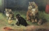 lester adrienne 1870-1950,The Intruder- study of Cat and Kittens,David Duggleby Limited 2016-06-17
