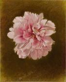 LEWIN JAMES 1836-1877,Carnation Suspended,1864,Sotheby's GB 2017-08-17