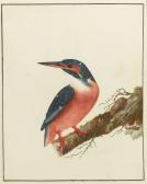 LEWIN William 1720-1795,BIRDS,Sotheby's GB 2014-11-04